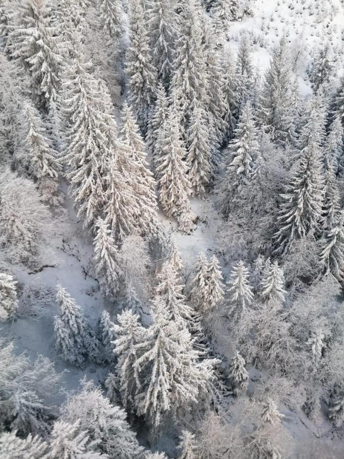 Montepart Zillertal Apartment Хайнценберг Екстериор снимка